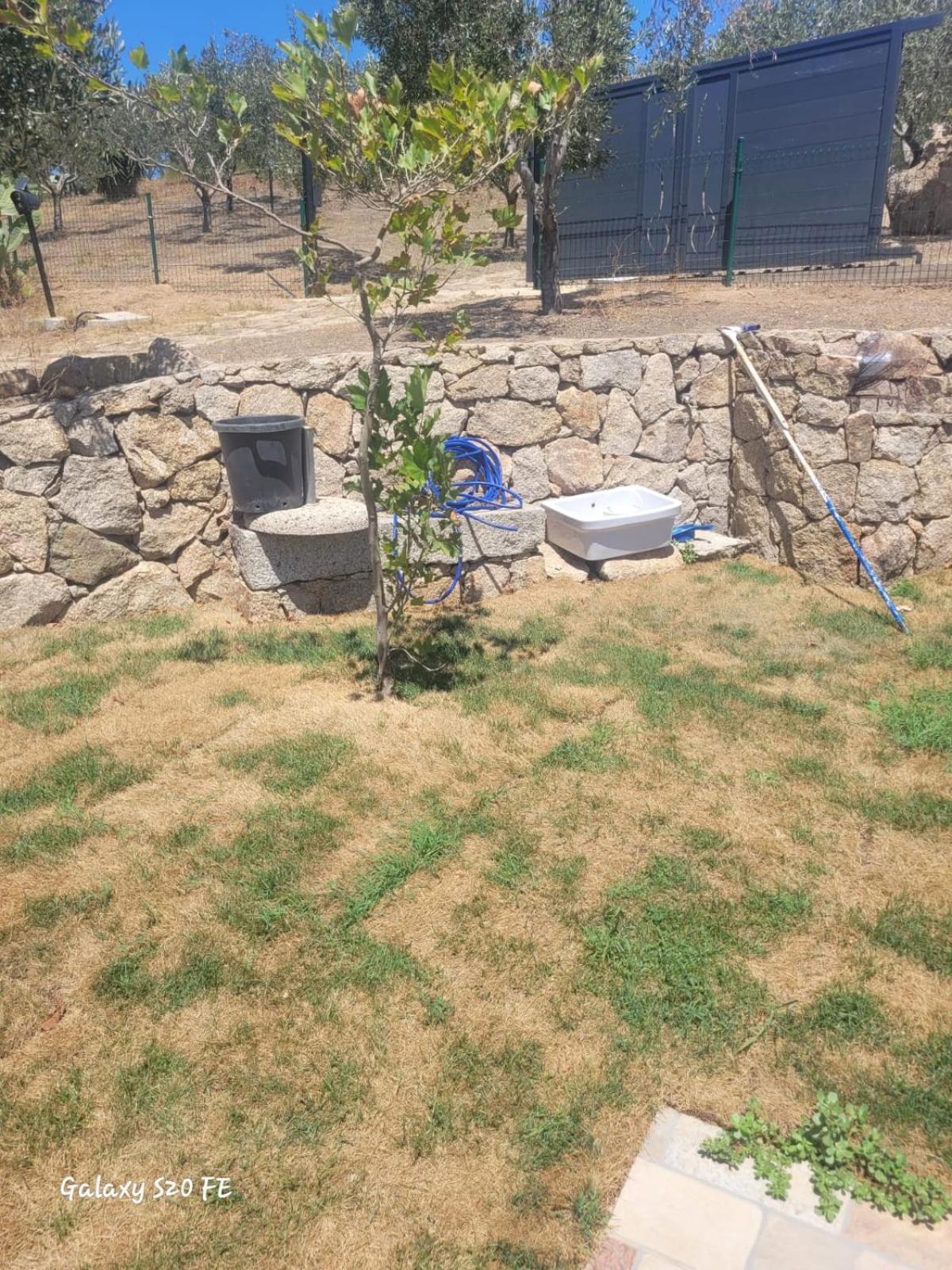 Appartamento Residenza Degli Ulivi Olbia Esterno foto