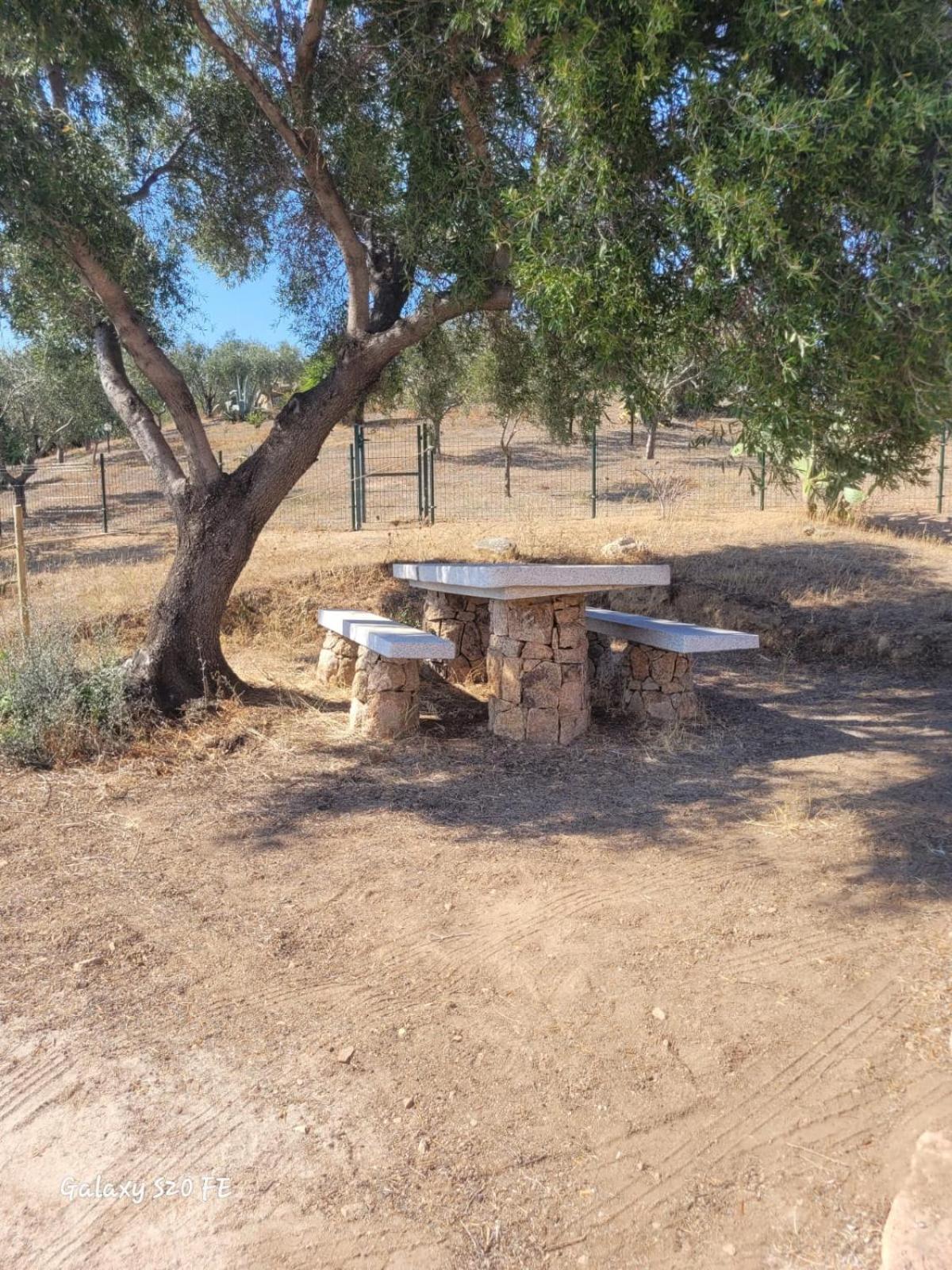Appartamento Residenza Degli Ulivi Olbia Esterno foto
